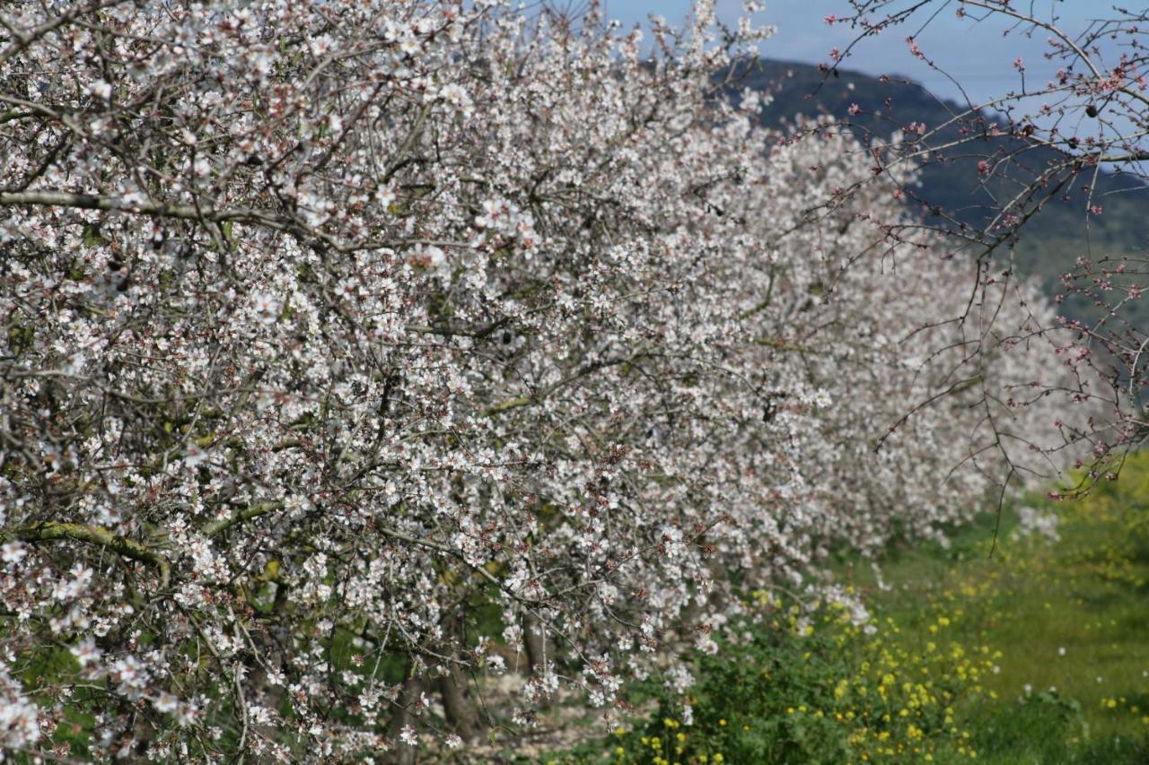 128 Finca Son Rossinyol Etv10657 By Mallorca Charme Villa Синеу Екстериор снимка